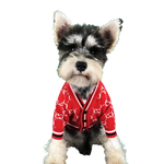 Pawcci Red Sweater