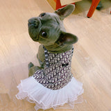 Dogior White Dress
