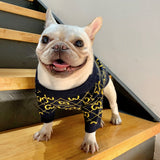 Pawcci Navy Sweater