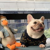 Pawcci Navy Sweater