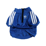 Adidog Blue Jacket