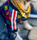 Pawcci Multicolor Jacket