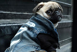 off white dog jacket