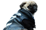 Woof-White Jean Vest