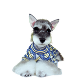 Furberry Blue Sweater