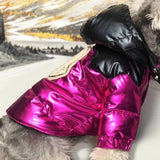 dog moncler jacket