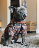 Dogior Classic Harness & Leash Set