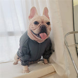 Fear Of Dog Reflective Jacket