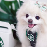 Pawbucks Apron Costume