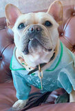 Louis Pawtton Blue Pyjamas