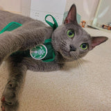 Pawbucks Apron Costume