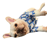 Dogior Cream Sweater