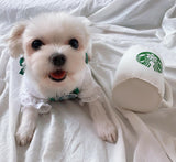 Pawbucks Apron Costume