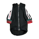 Pucci black jacket the hype puppy dog
