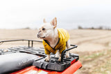 Paw des Garçons Raincoat
