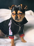 Pucci black jacket the hype puppy
