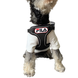Pupfila Black Harness & Leash Set