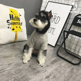 Anti Social Social Pup Grey T-Shirt
