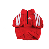 Adidog Red Jacket