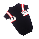 Pawvenchy Sweater