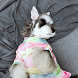 Louis Pawtton Rainbow Pyjama