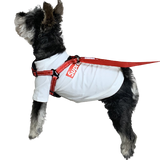 Pupfila Red Harness & Leash Set