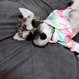 Louis Pawtton Rainbow Pyjama