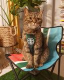 Pawbucks Apron Costume