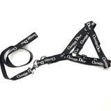 Dogior Classic Harness & Leash Set