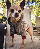 Pawcci Classic Jacket