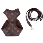 the hype puppy louis pawtton harness and leash