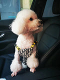 Dogior Jumpsuit