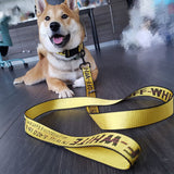 Woof-White Yellow Collar, Harness & Leash Set