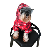 A Barking Pup x Chowpion Red Hoodie