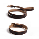 Louis Pawtton Brown Collar and Leash Set