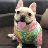 Louis Pawtton Rainbow Raincoat