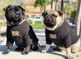 Pawcci Signature Hoodie
