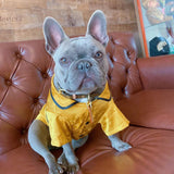 Louis Pawtton Yellow Pyjamas