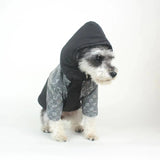 Pawcci Reflective Jacket