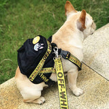 off white dog backpack hype puppy
