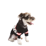 Pawvenchy Sweater
