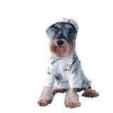 Doggoy White Hoodie