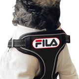 Pupfila Black Harness & Leash Set
