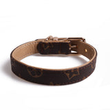 Louis Pawtton Brown Floral Collar and Leash Set