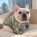 Louis Pawtton Grey Sweater