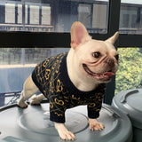 Pawcci Navy Sweater