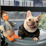 Pawcci Navy Sweater