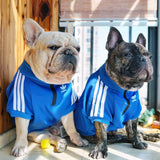 Adidog Blue Jacket