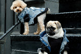 off white dog jacket