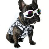 alexander mcpup skull top